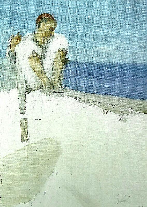 Anders Zorn zornsamlingarna France oil painting art